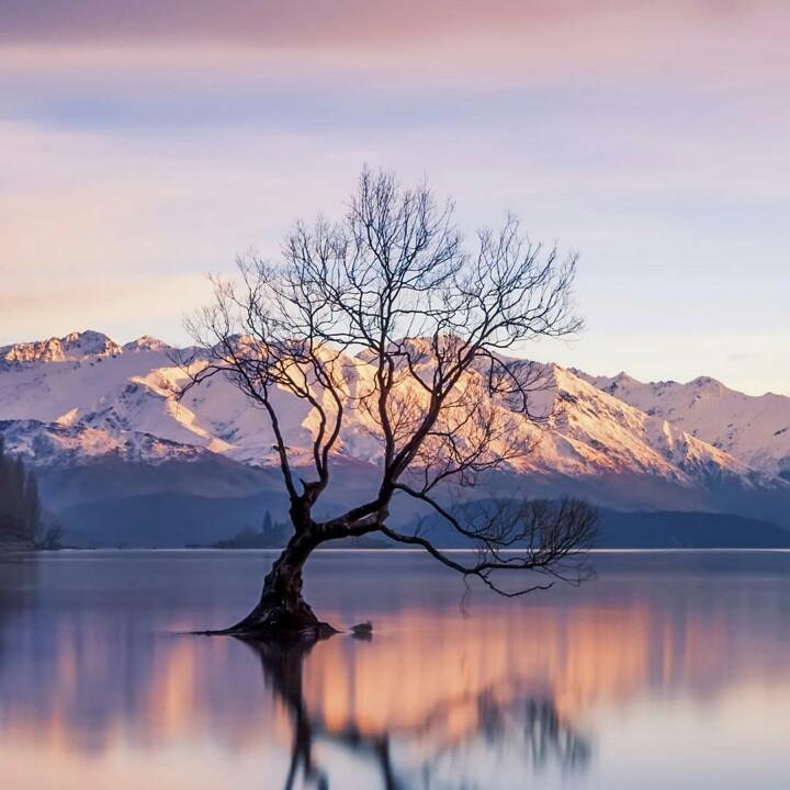 汪俊