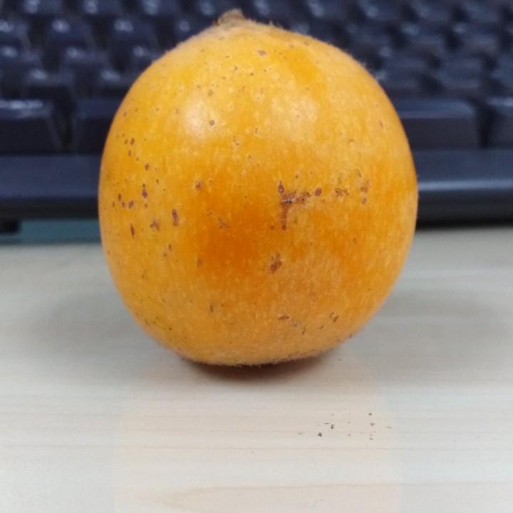刘小美