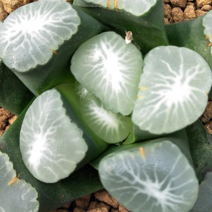 江安馨冉门窗