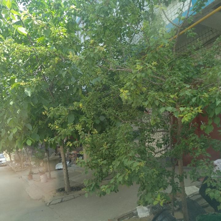 龙鼎汽配店铺