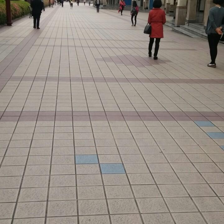 春天慢慢的到来