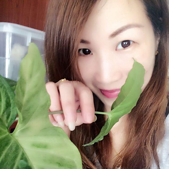红蜻蜓：）