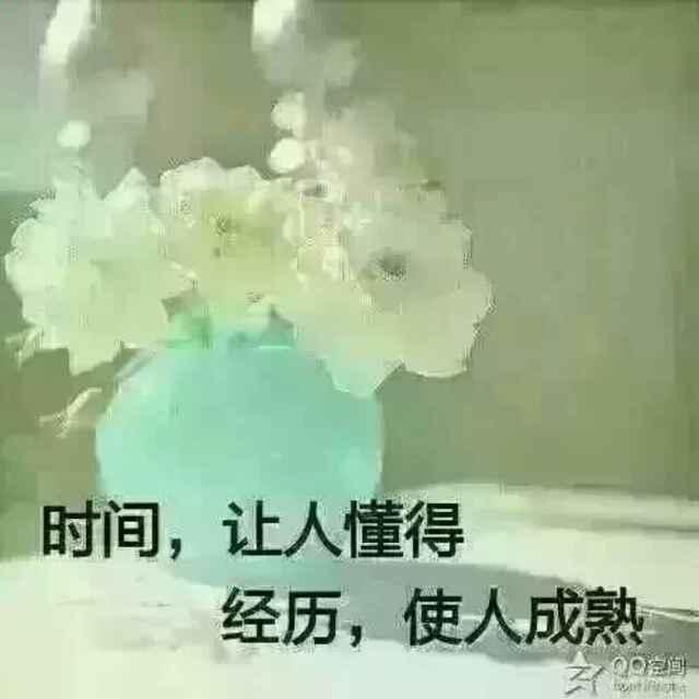 远见卓识7387