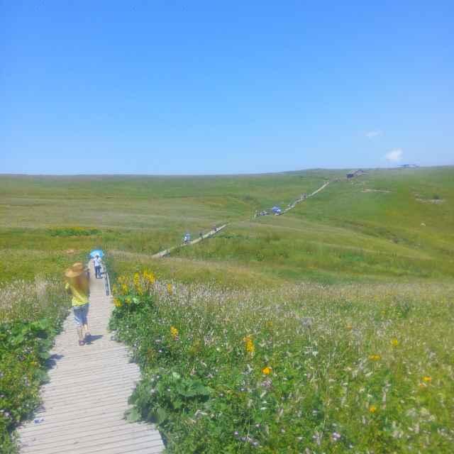 小辉月饼 麻花