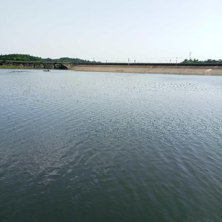 杰