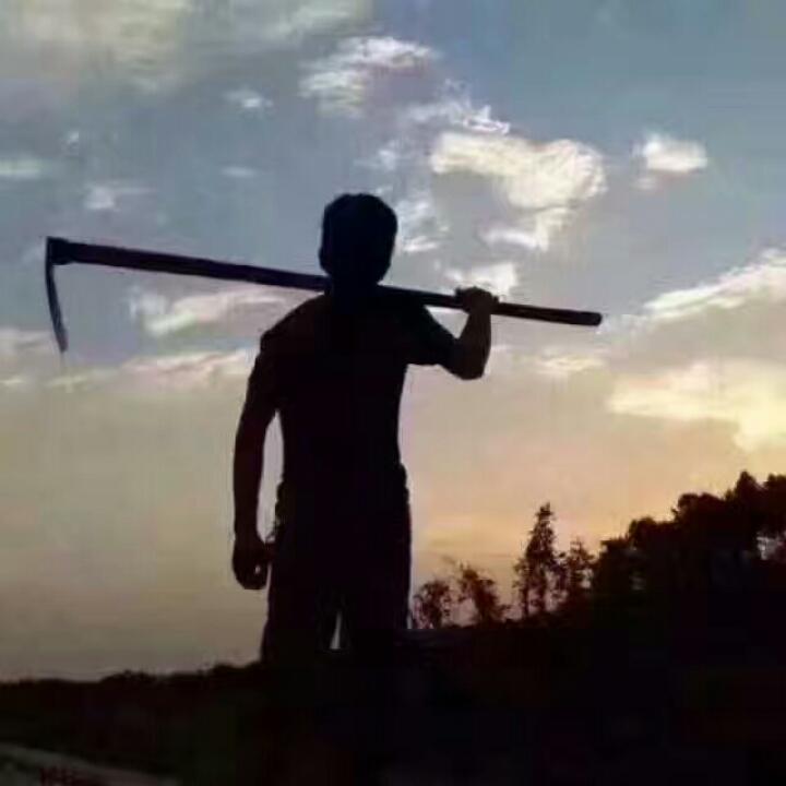 崀山阿锋