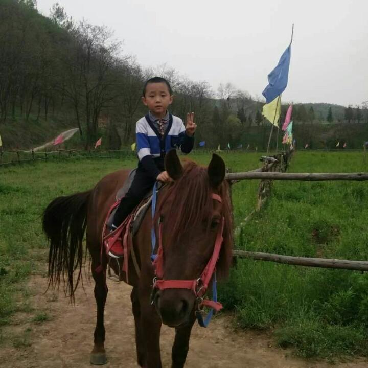 虫虫妈妈