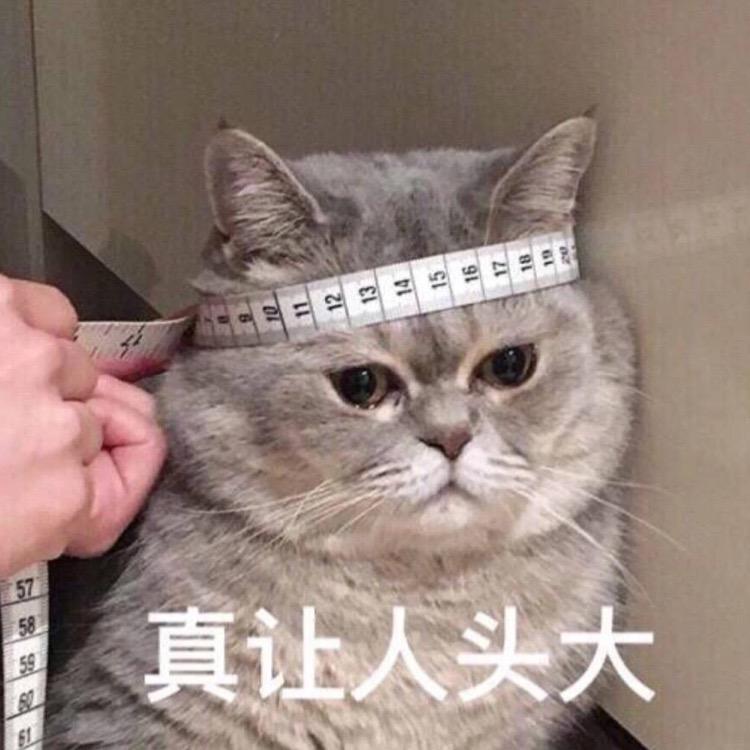 Enddd