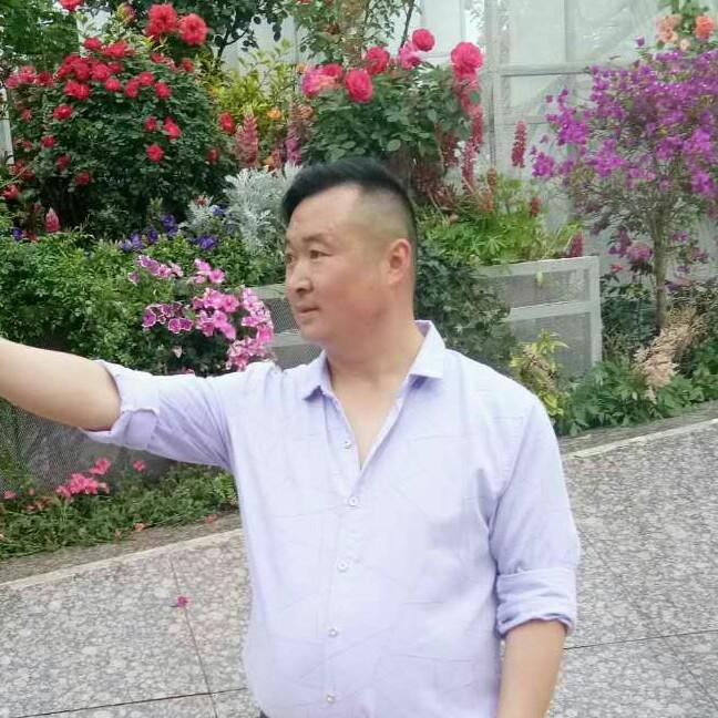 千山万水都是情