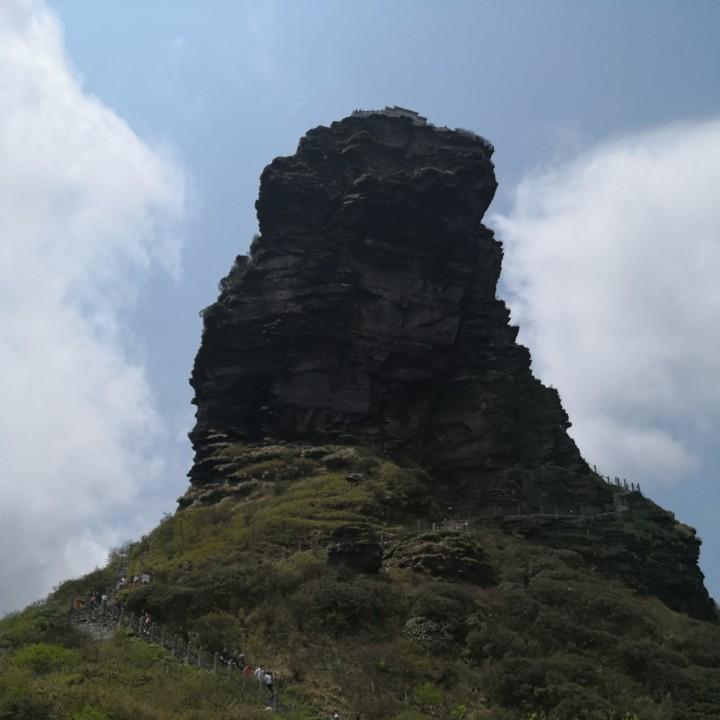勿忘情