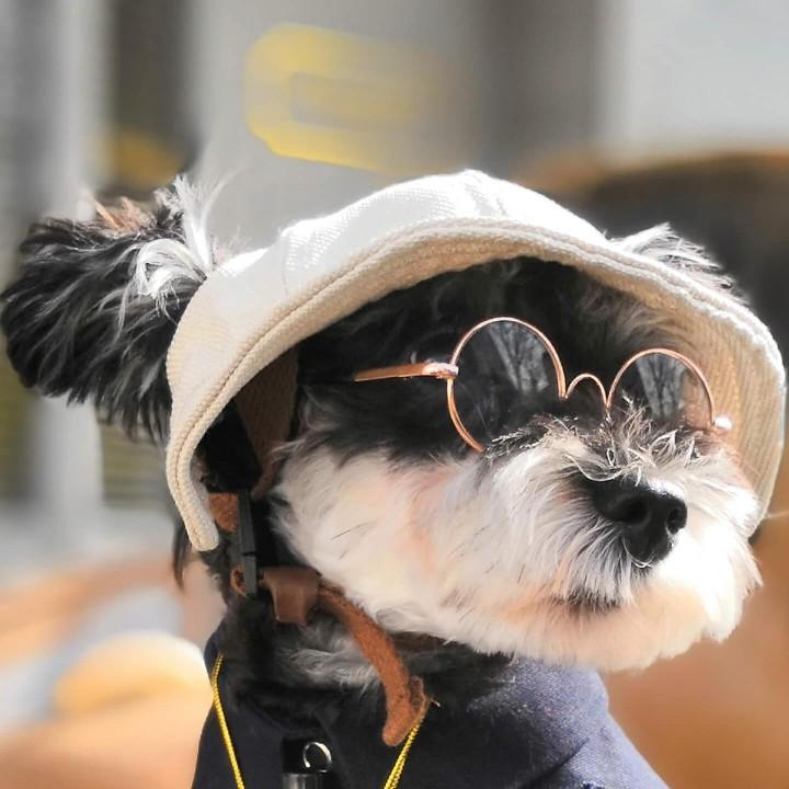 左手画圆