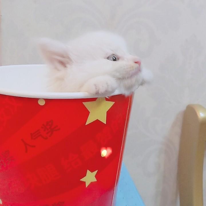 王不二🍥