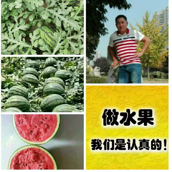 西瓜教授