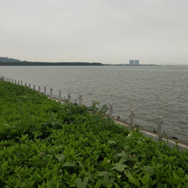 叶县 祥裕～雅集  小霞   值得