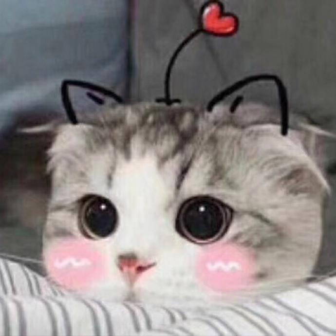 钓🐯猫的🐠鱼🌹