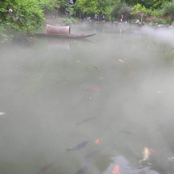 专属天使