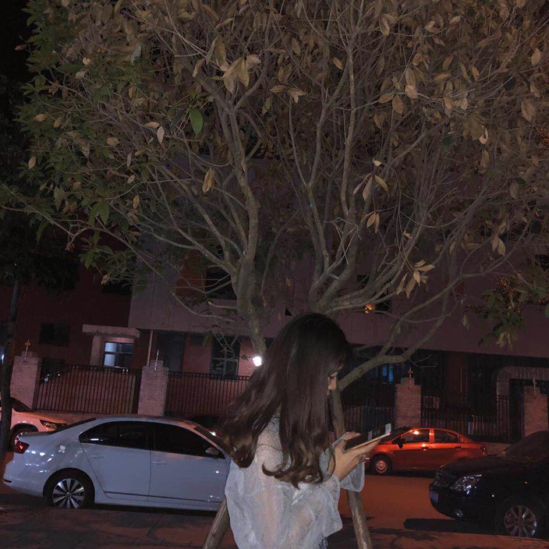 🎀小熊维尼🧸