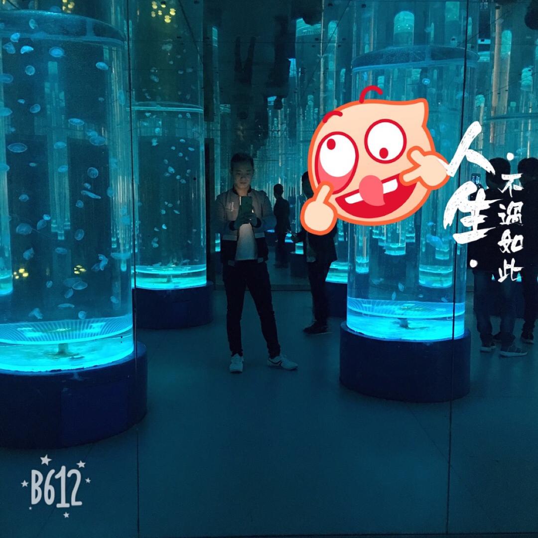 安如少年如初梦