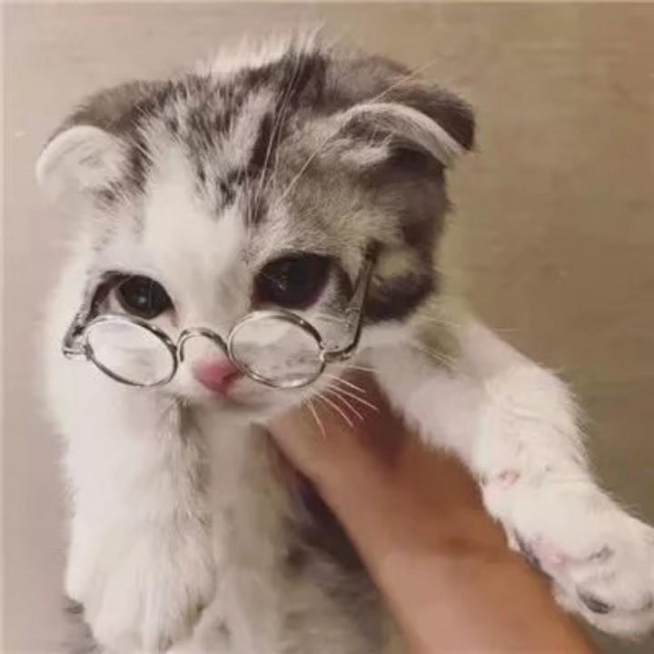 冷悦