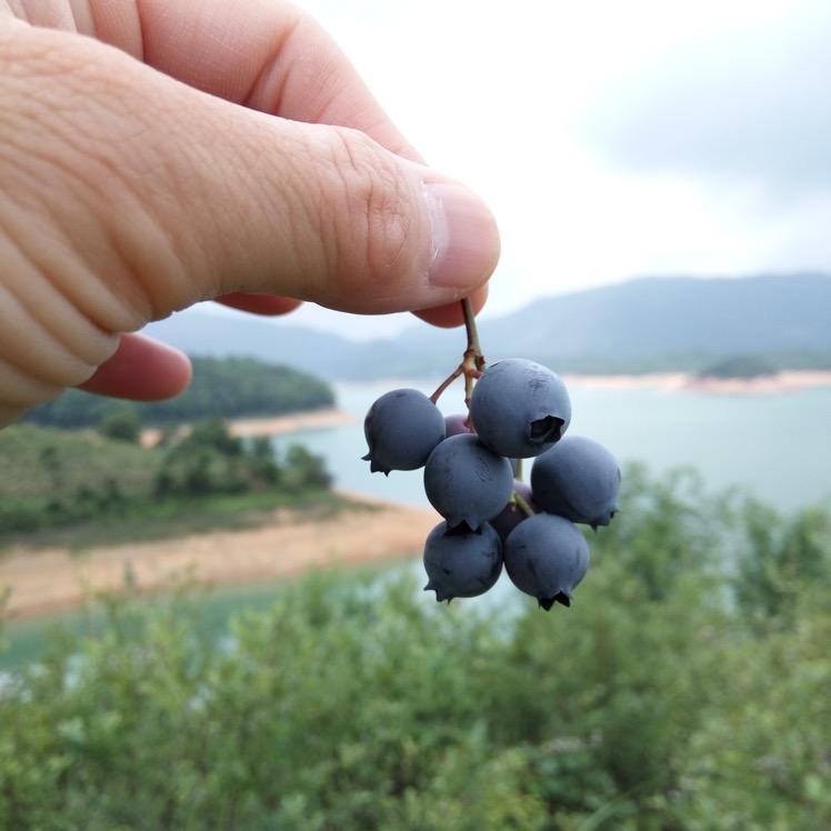 心心相印