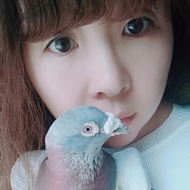 梦杨杨