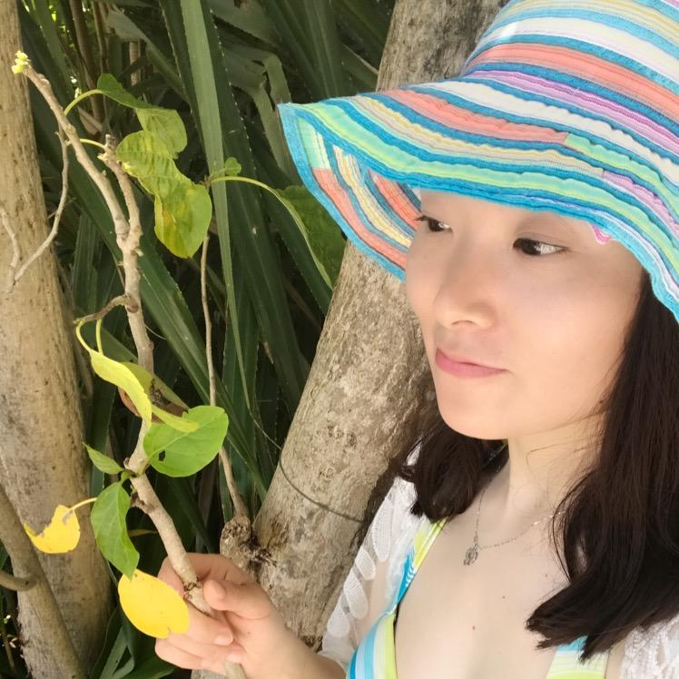 一抹枫忆