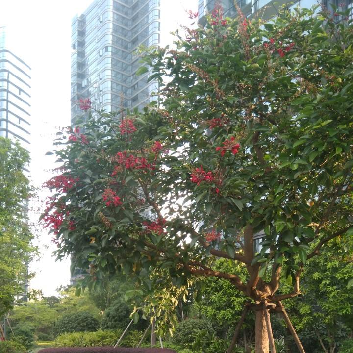 水中的鱼334007934228