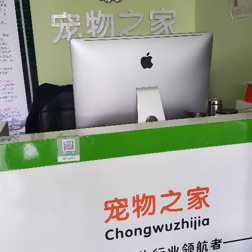 洋河老王