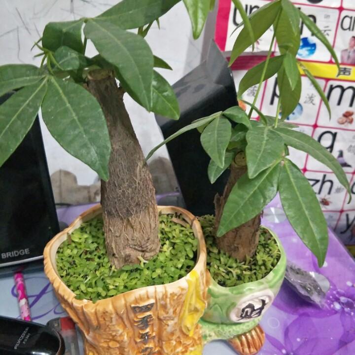 五个孩子的宝妈（ 好物推荐）