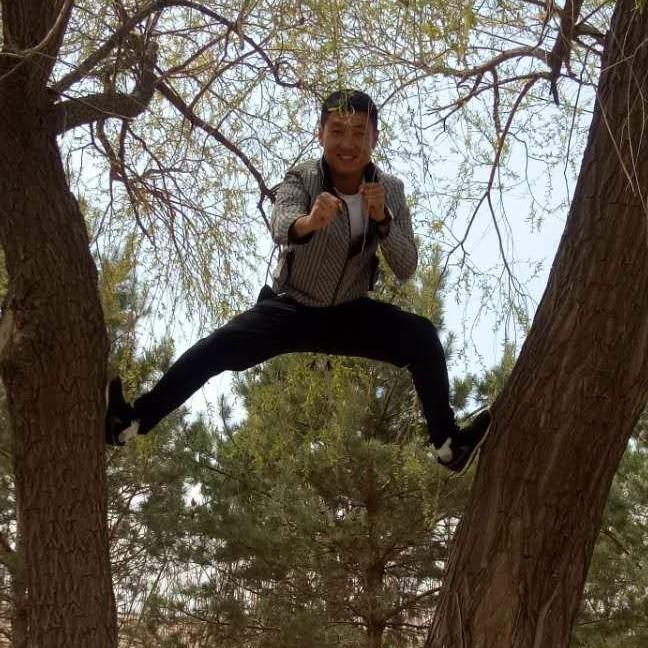 锋雷名匠跆拳道