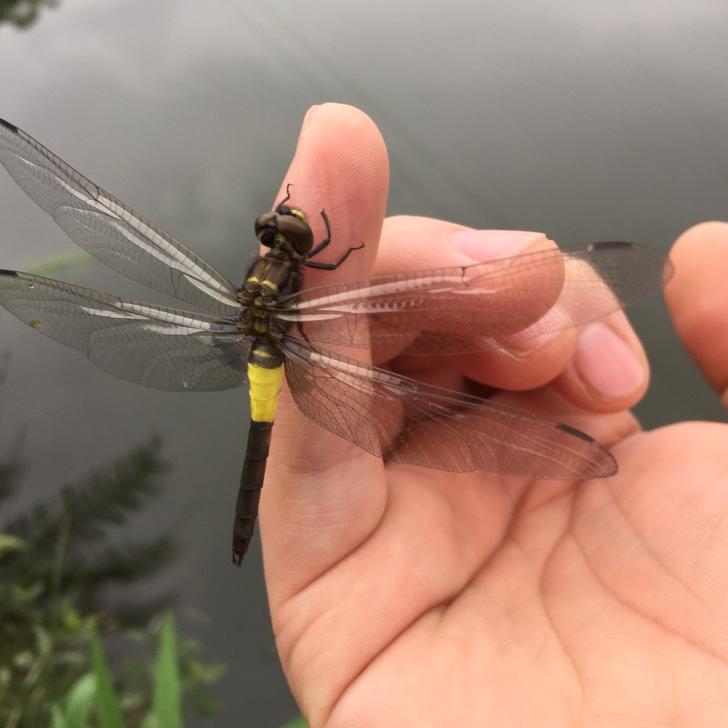 🌈🌈小小菜汤🌈