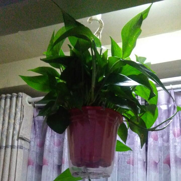 诚信待人诚信做事