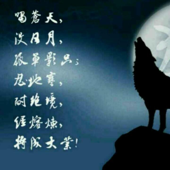南征北战