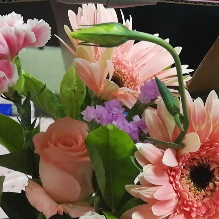 知识是力量的源泉