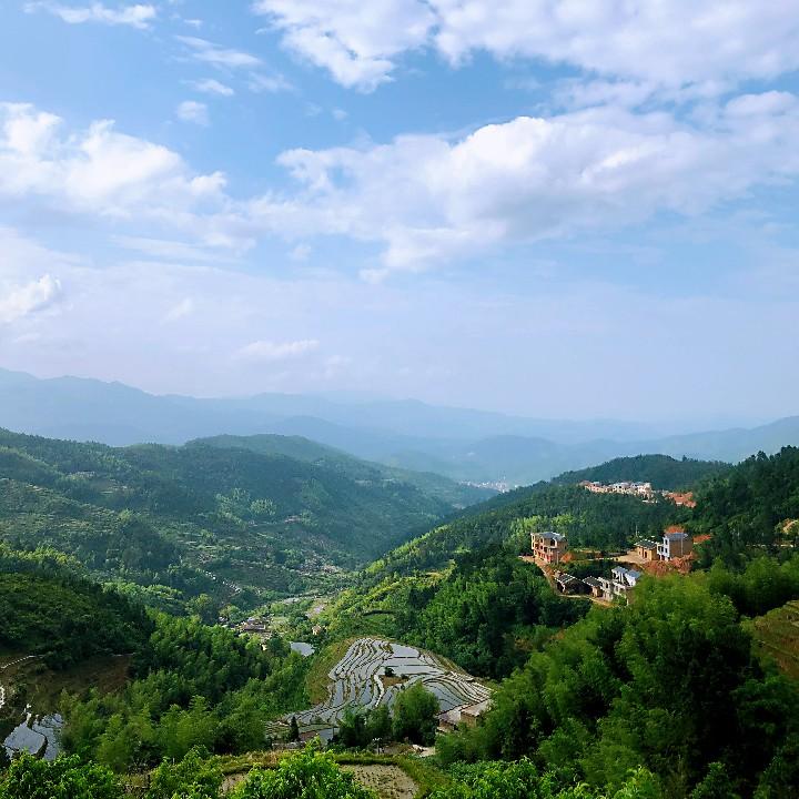 我不是岳老板