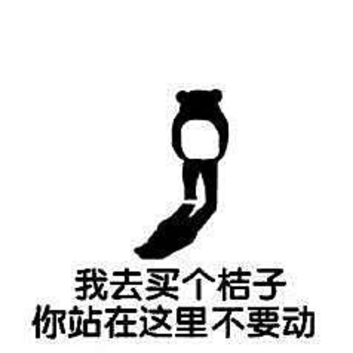 追寻自由的熊