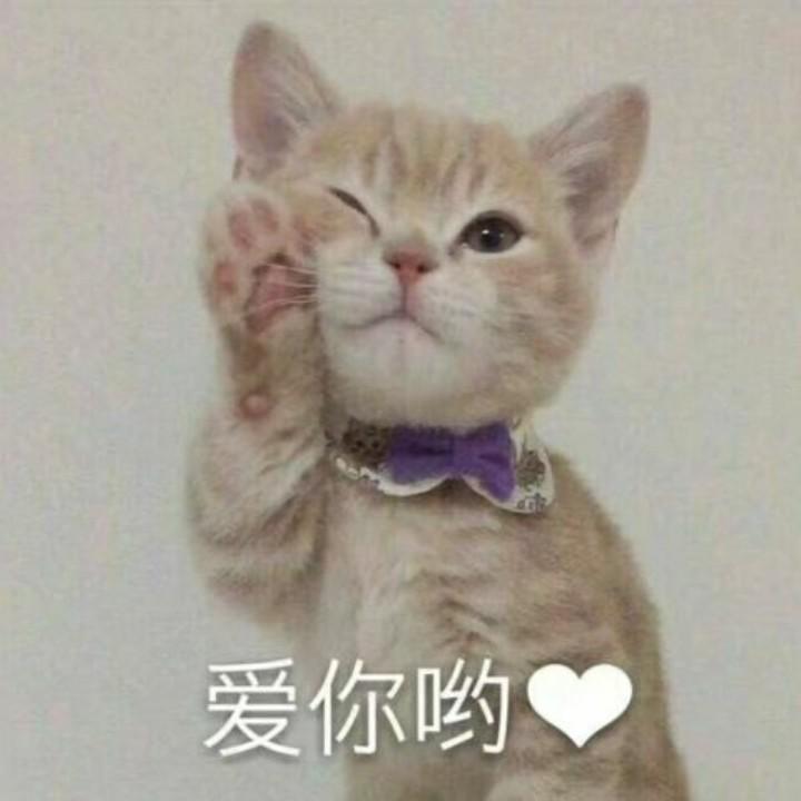 某某