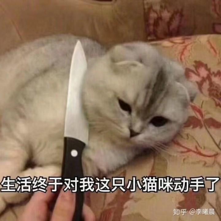 饲养员