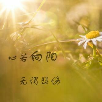 诸事顺利🫰