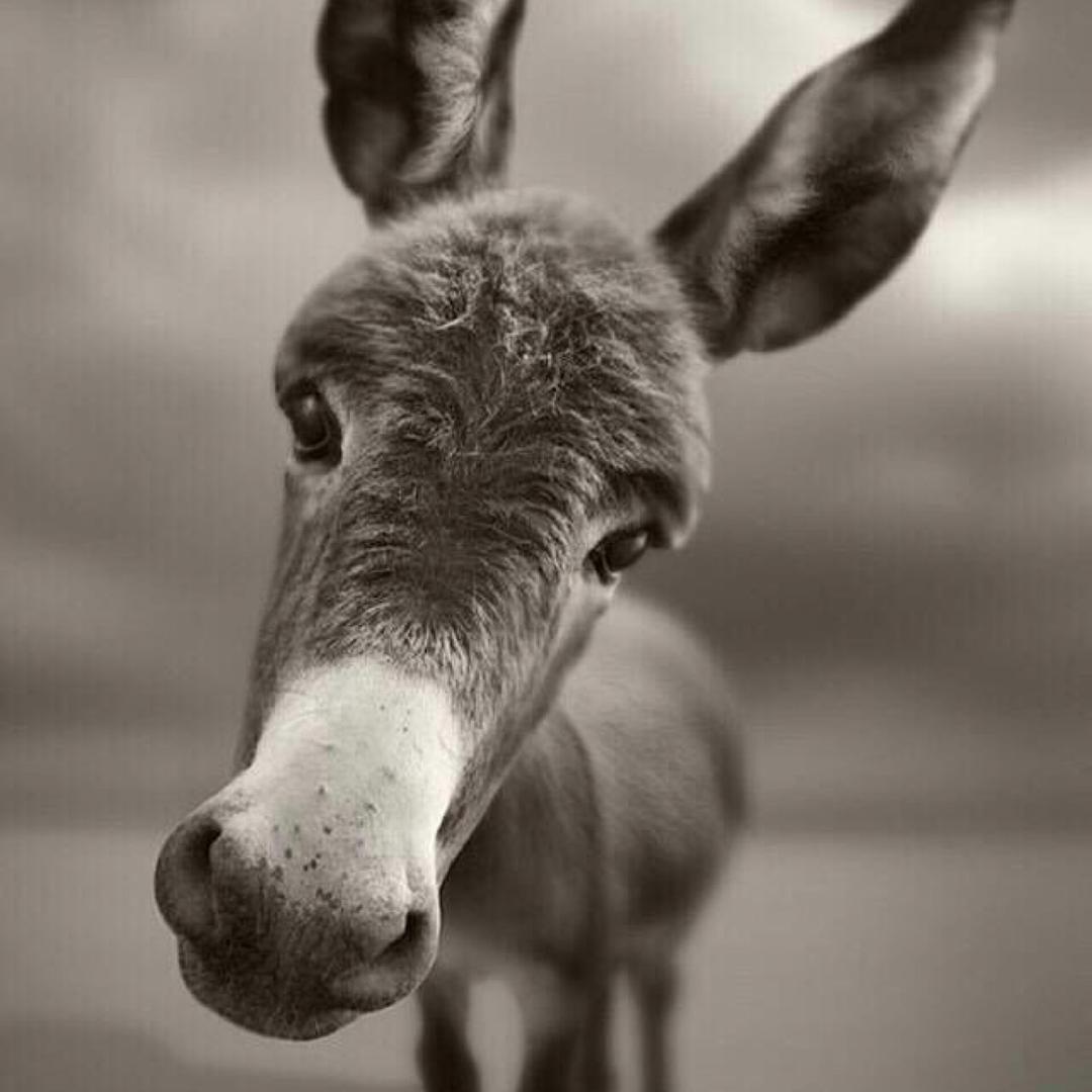 别人说我不难看