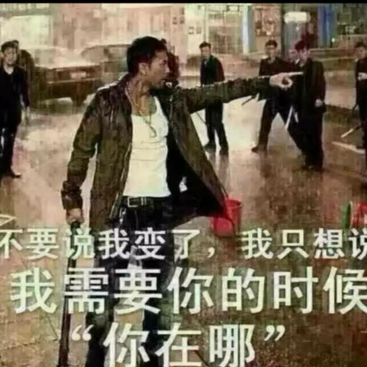 💞꧔ꦿ᭄弄假陈郑꧔ꦿ᭄💞