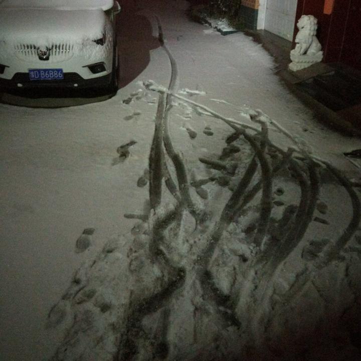 随光逐影