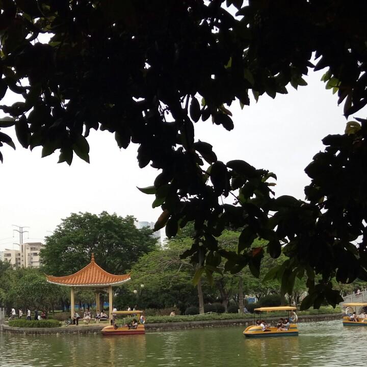 魅蕾优选