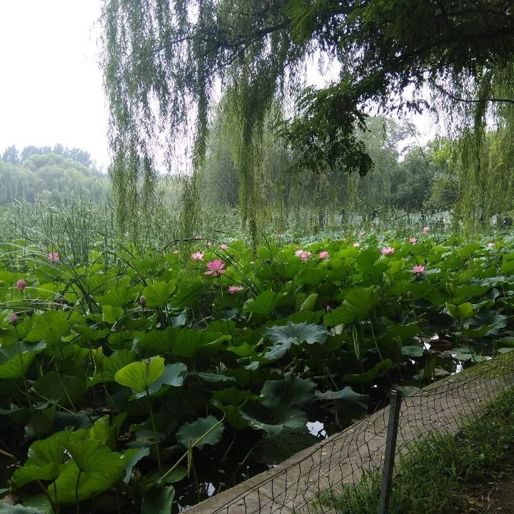 通讯录好友