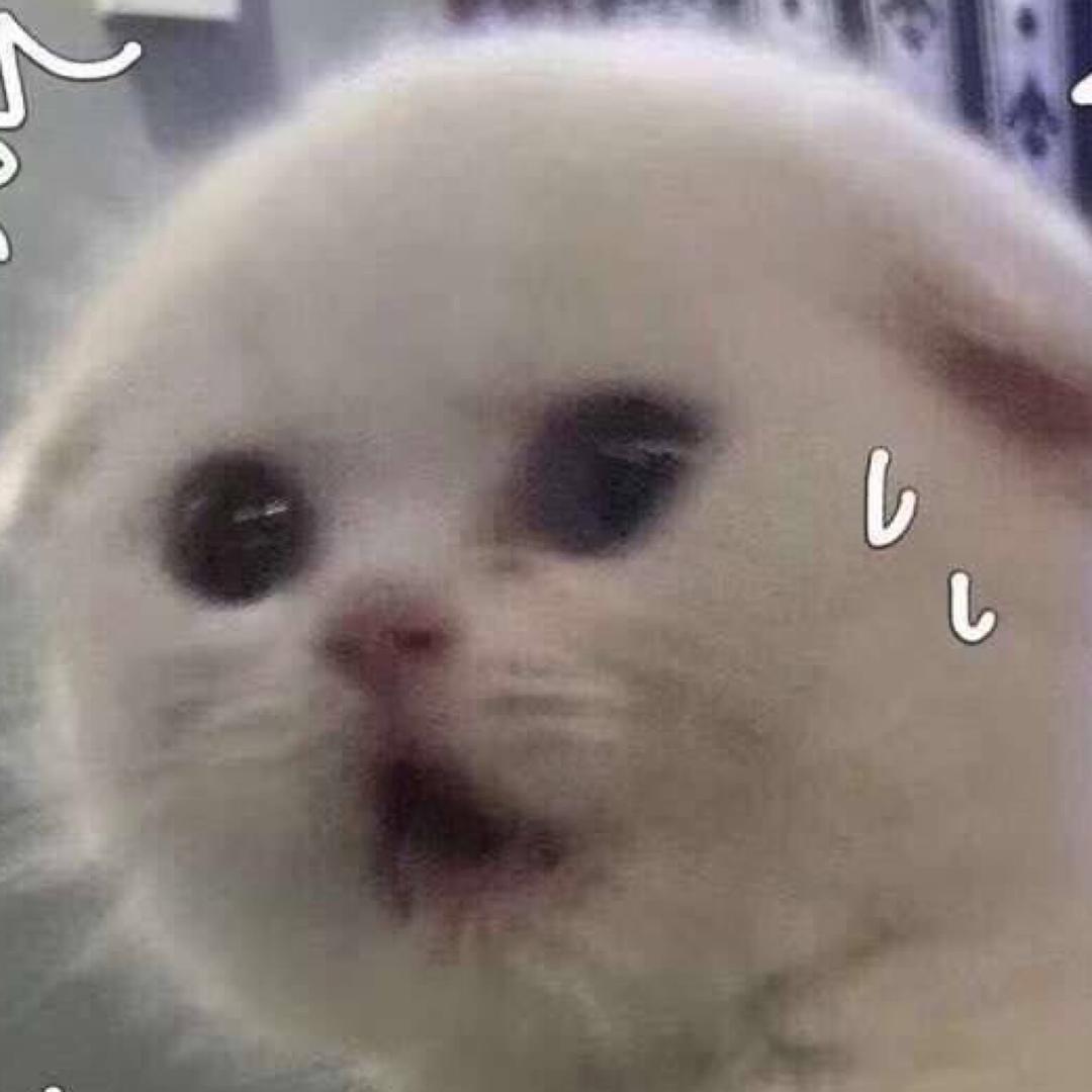 一只君君