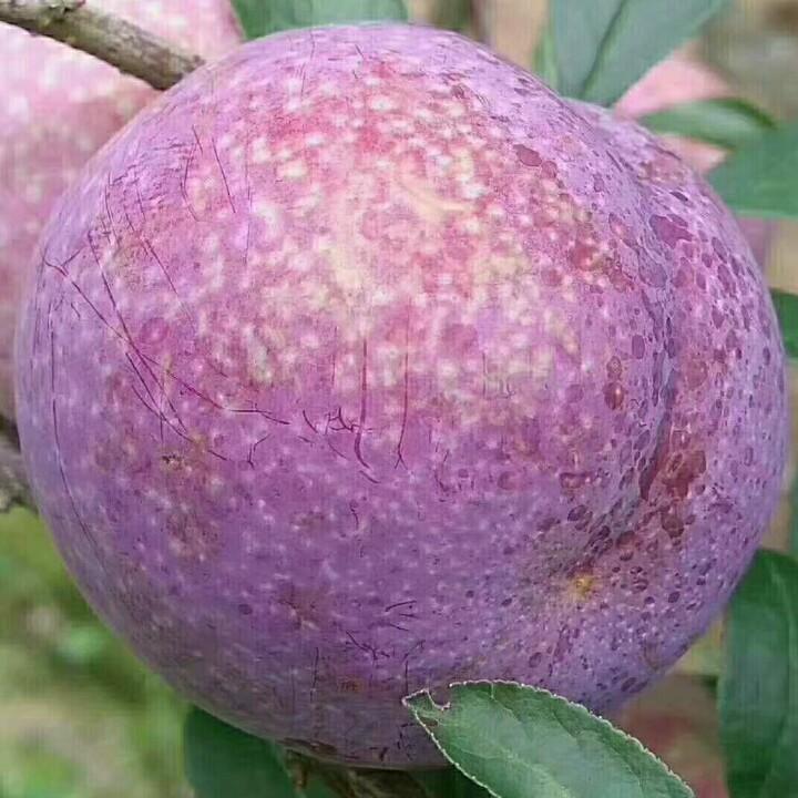 电镀设备整厂回收