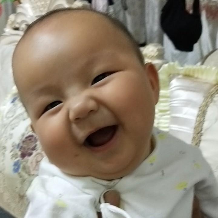 刀疤使徒