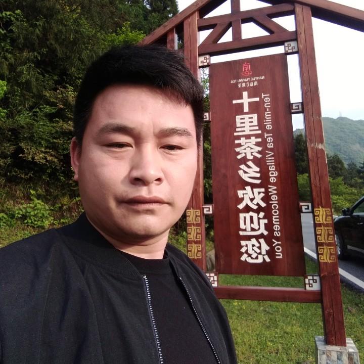 双登