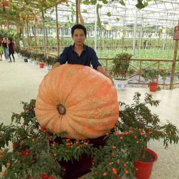 无名可取