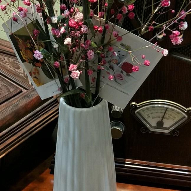 胖胖